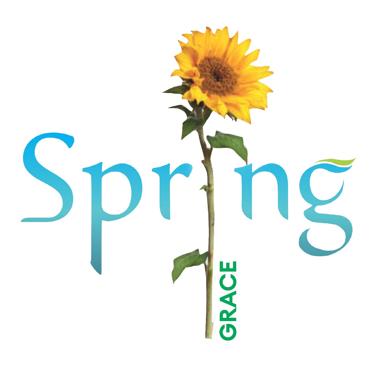 Spring Grace